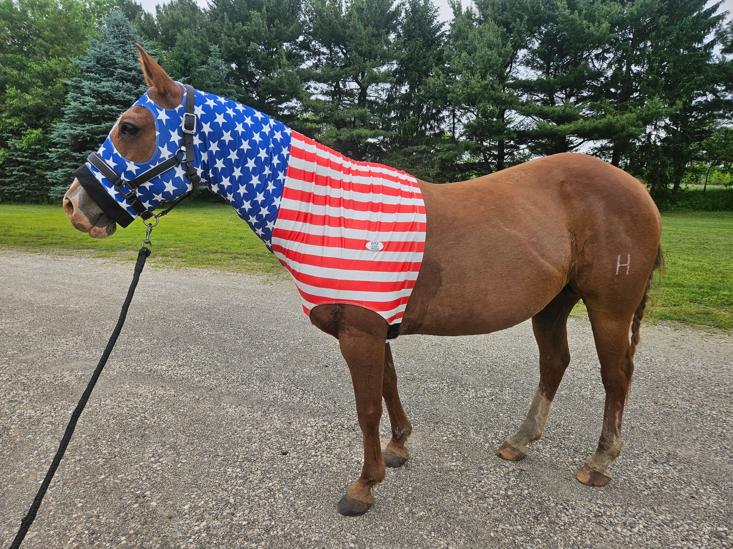 Derby Originals Stars & Stripes Lycra Horse Sleazy Hood with Zipper, Fleece Noseband, Belly Strap – Stretch Neck Cover for Average Horses, Great for Shows & Parades.