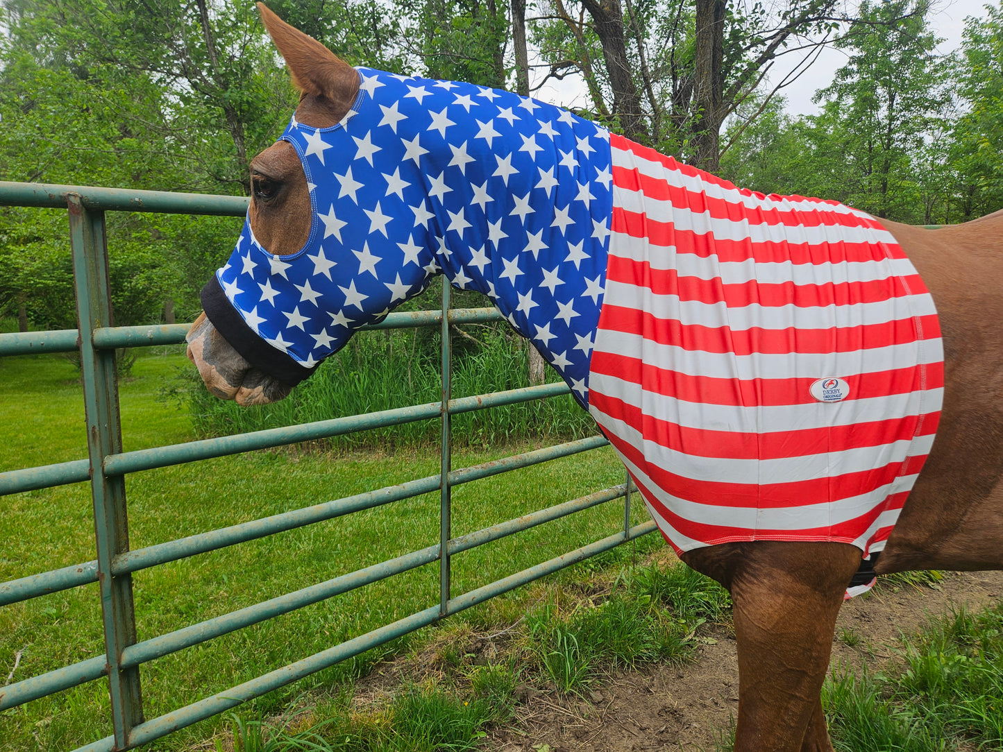 Derby Originals Stars & Stripes Lycra Horse Sleazy Hood with Zipper, Fleece Noseband, Belly Strap – Stretch Neck Cover for Average Horses, Great for Shows & Parades.