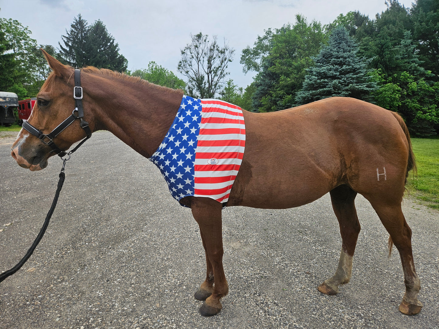 Derby Originals Patriotic Stars & Stripes Lycra Horse Shoulder Guard – Stretch Slicker with Belly Strap, Anti-Chafe Design for Blanket Rubbing, Ideal for Parades & Shows, Full Size (78"-82")