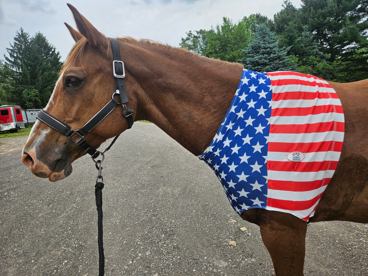 Derby Originals Patriotic Stars & Stripes Lycra Horse Shoulder Guard – Stretch Slicker with Belly Strap, Anti-Chafe Design for Blanket Rubbing, Ideal for Parades & Shows, Full Size (78"-82")