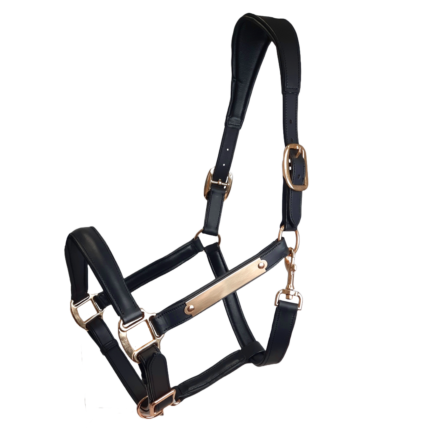 Paris Tack All Sides Padded Super Comfortable Curved Design Horse Leather Halter With Brass Name Plate Black