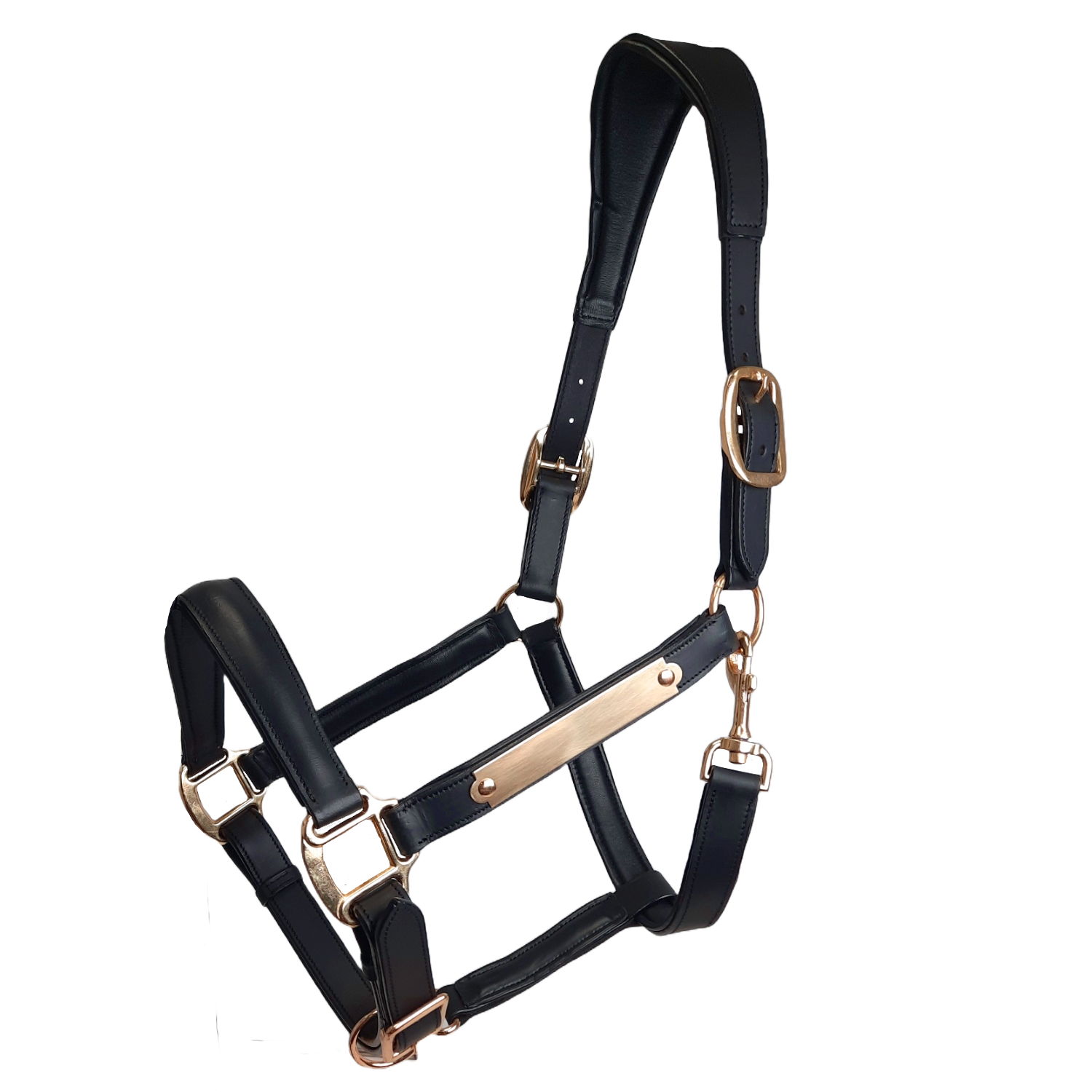 Paris Tack All Sides Padded Super Comfortable Curved Design Horse Leather Halter With Brass Name Plate Black