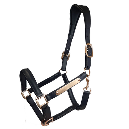 Paris Tack All Sides Padded Super Comfortable Curved Design Horse Leather Halter With Brass Name Plate Black