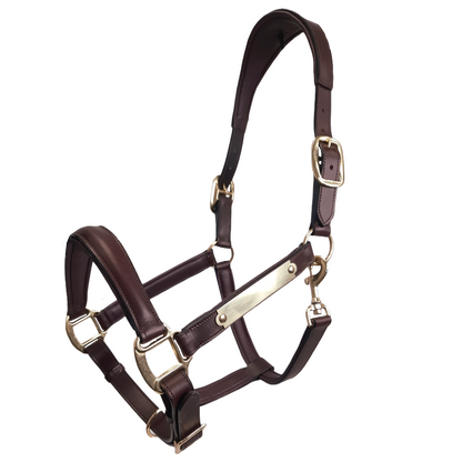 Paris Tack All Sides Padded Super Comfortable Curved Design Horse Leather Halter With Brass Name Plate