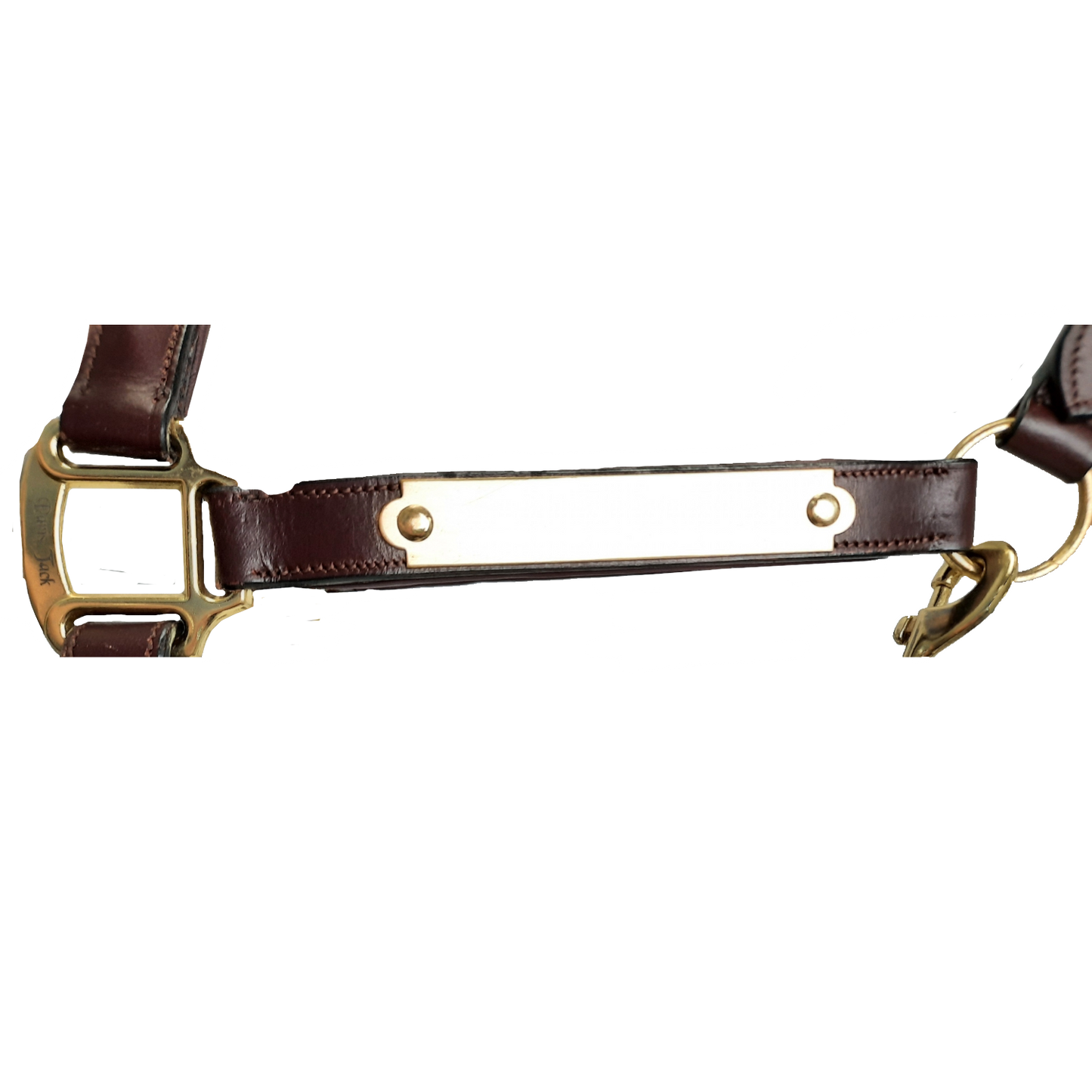 Paris Tack All Sides Padded Super Curved Design Horse Leather Halter With Brass Name Plate 
