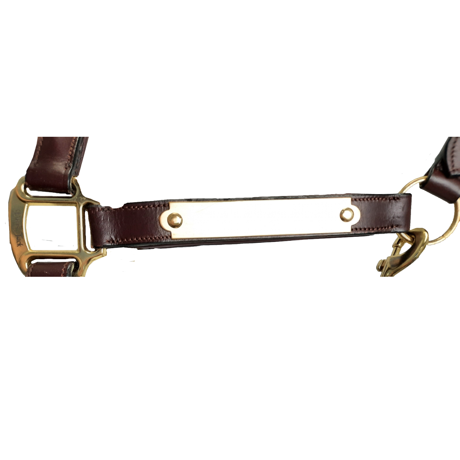 Paris Tack All Sides Padded Super Curved Design Horse Leather Halter With Brass Name Plate 