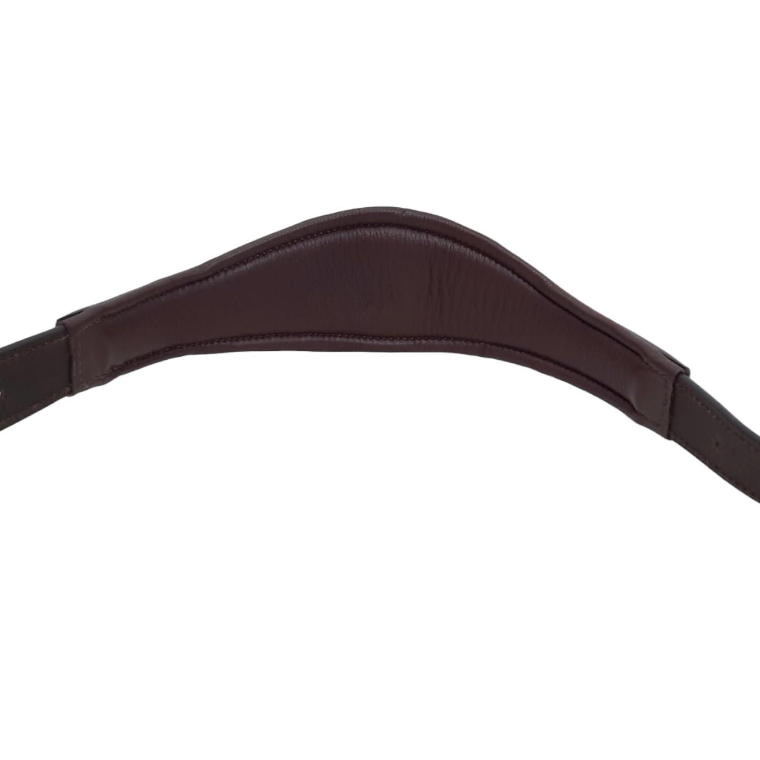 Paris Tack Padded Super Curved Design Horse Leather Halter With Brass Name Plate 