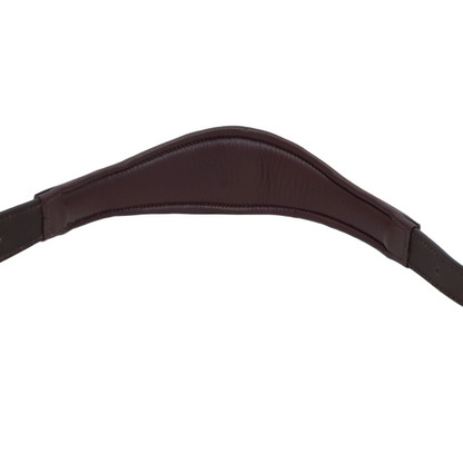 Paris Tack Padded Super Curved Design Horse Leather Halter With Brass Name Plate 