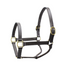 Derby Originals Coventry Triple Stitch Fully Adjustable Leather Halter- Multiple Sizes