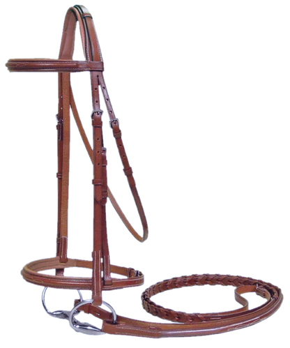 Paris Tack Padded Raised Fancy Stitched Leather English Schooling Bridle with Laced Reins