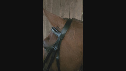 Paris Tack Macmillan Dressage Leather English Bridle with Laced Reins and 1 Year Warranty