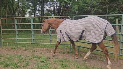Paris Tack Navy Beige Plaid Horse Stable Sheet with Front Gussets, Lightweight Polyester Sheet for Horses, Travel, Stable & Show Use