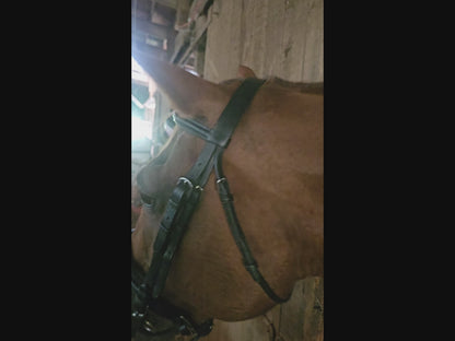 Paris Tack Dressage Crank Bridle with Flash and Rubber Reins