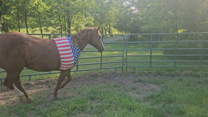 Derby Originals Patriotic Stars & Stripes Lycra Horse Shoulder Guard – Stretch Slicker with Belly Strap, Anti-Chafe Design for Blanket Rubbing, Ideal for Parades & Shows, Full Size (78"-82")
