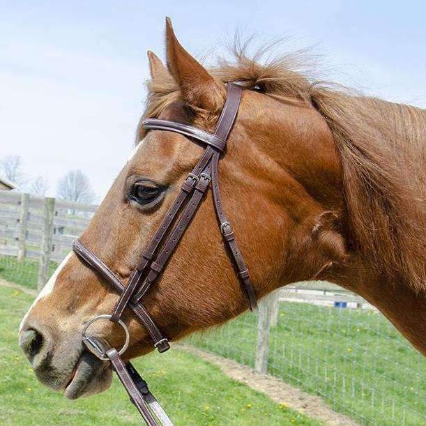 Paris Tack Raised Fancy Stitch Leather English Schooling Bridle 