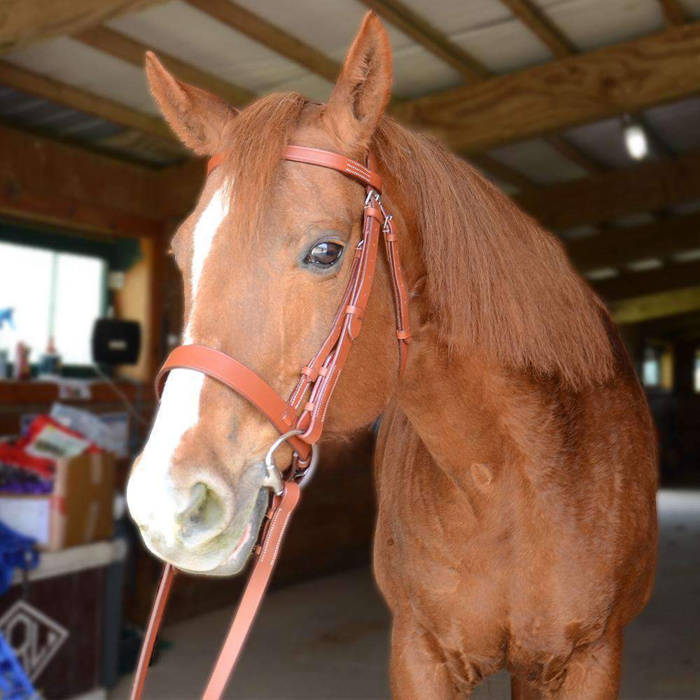 Paris Tack Classic Flat Leather English Hunt Bridle with Laced Reins Brown color