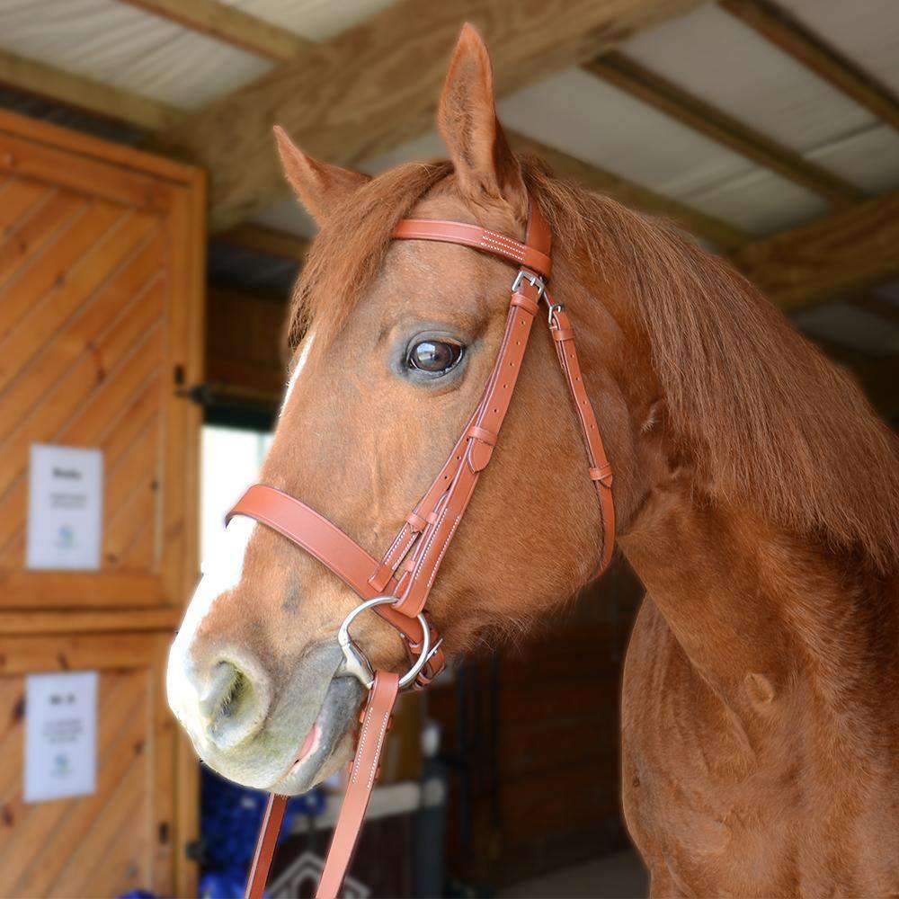 Flat Leather English Hunt Bridle with Laced Reins 