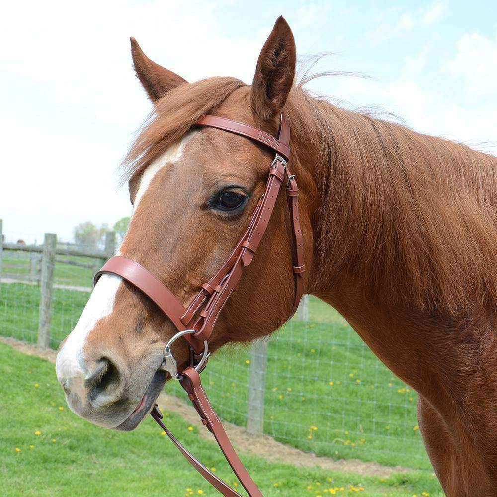 Paris Tack Classic Flat Leather English Hunt Bridle with Laced Reins 