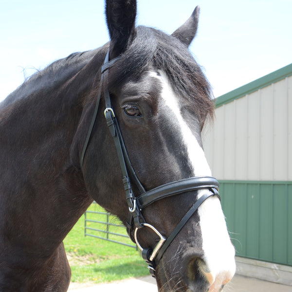 Paris Tack Dressage Crank Bridle with Flash and Rubber Reins