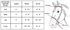 products/14-PT1448_SizeChart.png