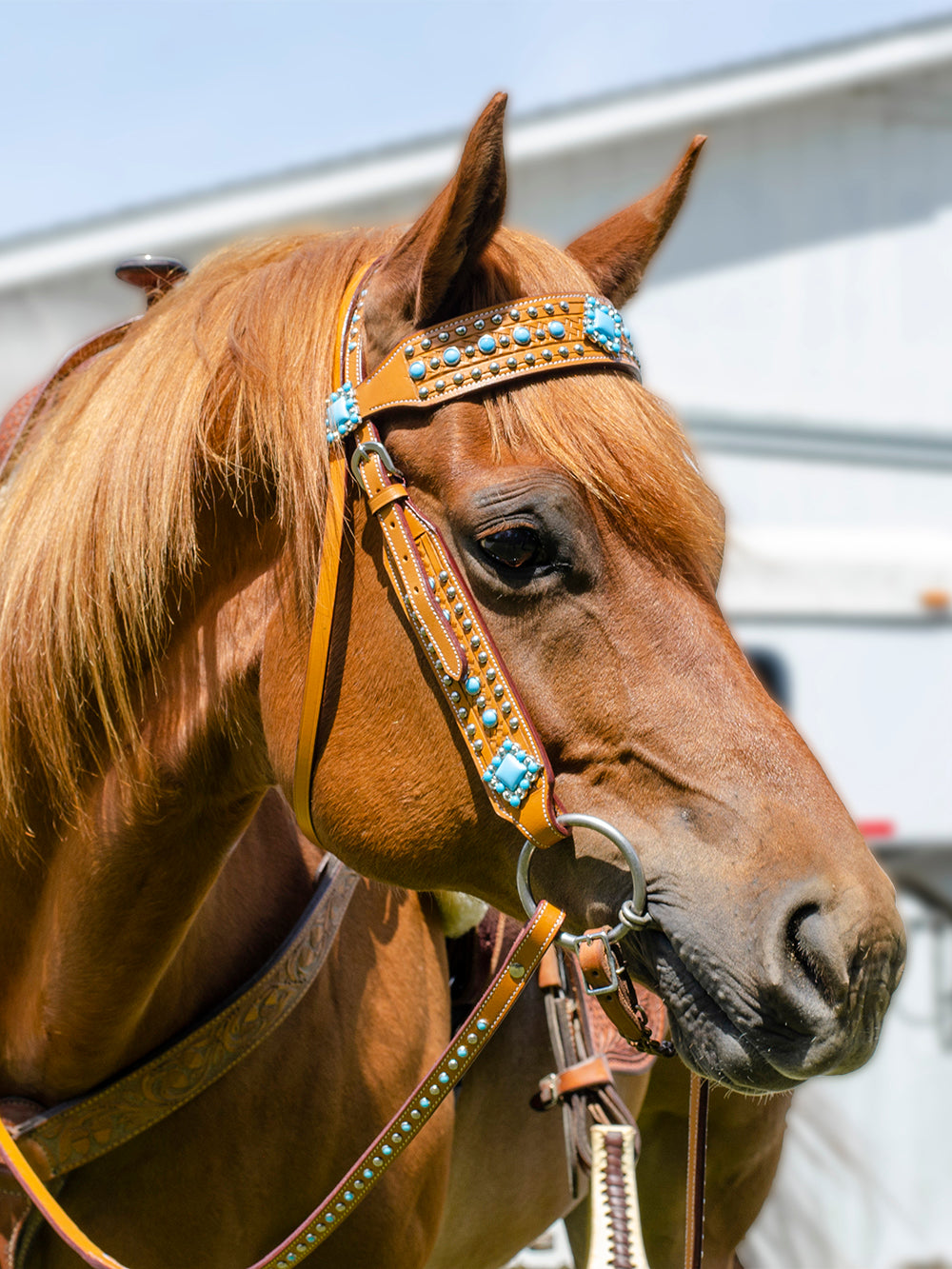 Tahoe Tack Turquoise Spotted Show Western Leather Browband