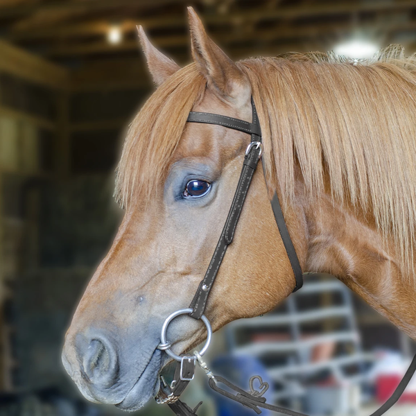 Tahoe Tack Double Stitched Flat Leather Western Browband Headstall