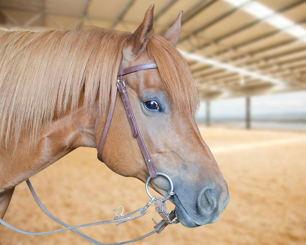 Tahoe Tack Double Stitched Flat Leather Western Browband Headstall