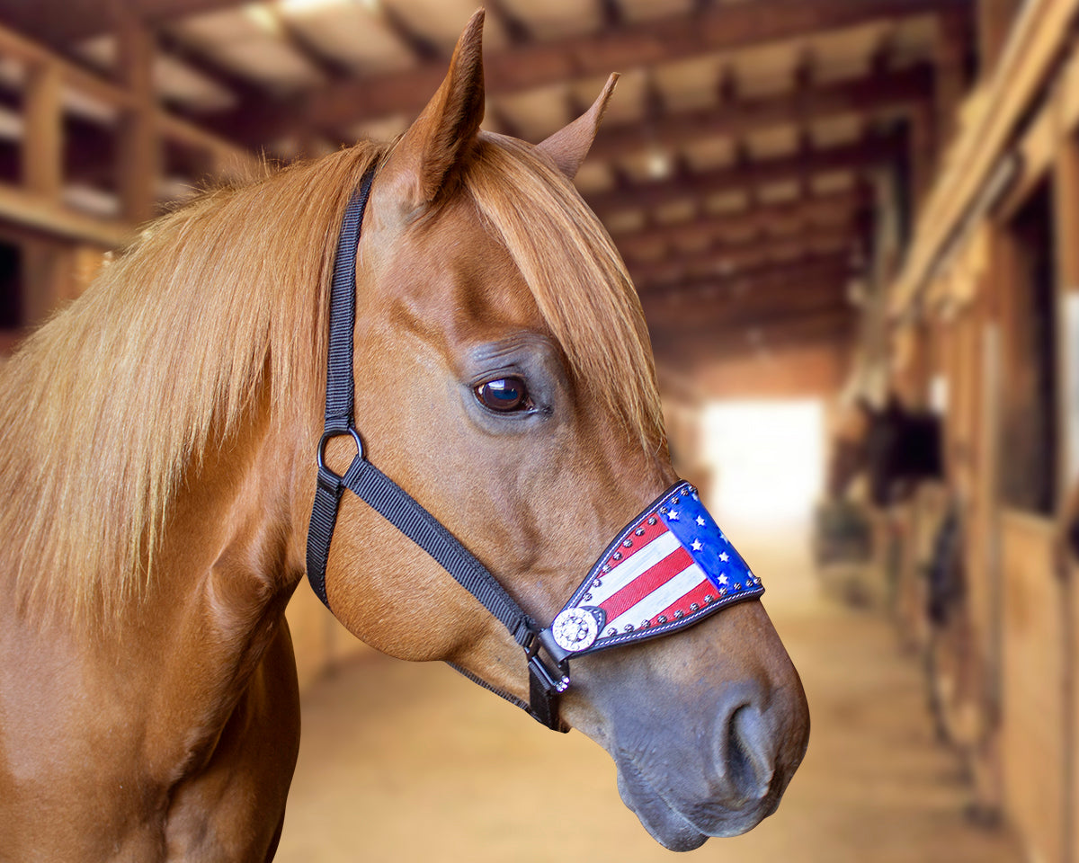 Tahoe Tack Patriotic Hand-Painted American Flag Bronc Halter with Crystals Lifestyle