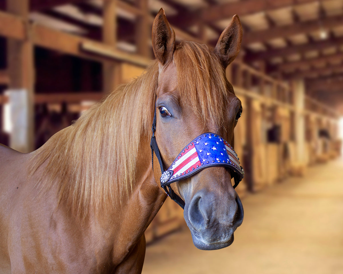 Patriotic Hand-Painted American Flag Bronc Halter with Crystals 