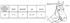 products/18-1881_SizeChart.png