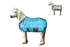 products/1Mini-Horse_Pony_Stable_Blanket_420D_Hurricane_Bue_Swatch_80-8063V2.png