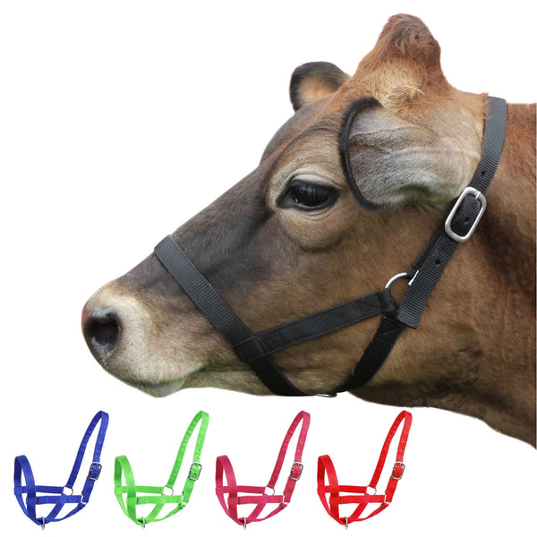 Derby Originals Adjustable Nylon Livestock Cattle Halters