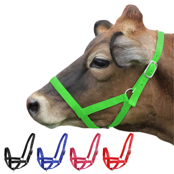 Derby Originals Adjustable Nylon Livestock Cattle Halters