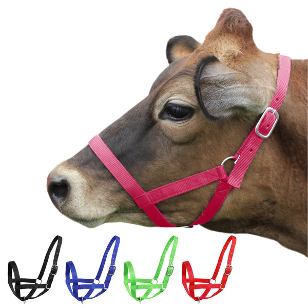 Derby Originals Adjustable Nylon Livestock Cattle Halters