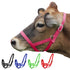 products/1Nylon_Cow_Halter_Swatch_Image_Pink_90-9050.jpg