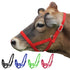 products/1Nylon_Cow_Halter_Swatch_Image_Red_90-9050.jpg