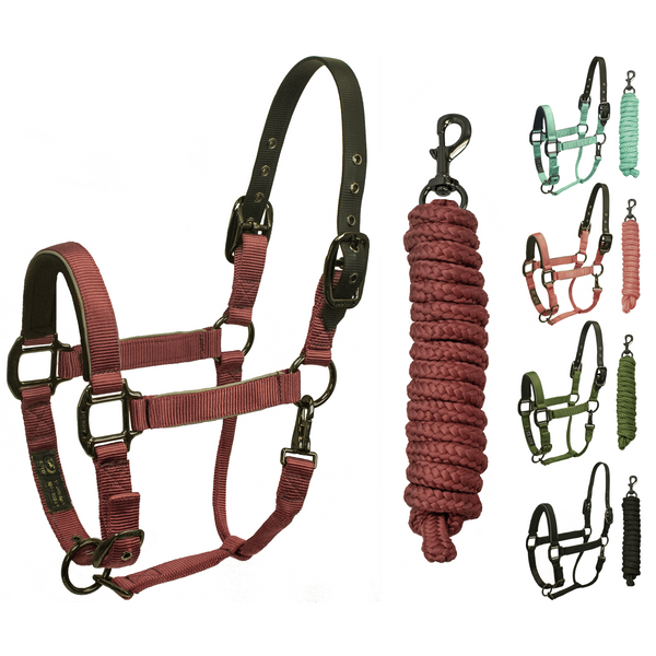 Derby Originals Desert Rose Collection Blackout Reflective Safety Flex-Webb Horse Halters with Matching Lead Ropes