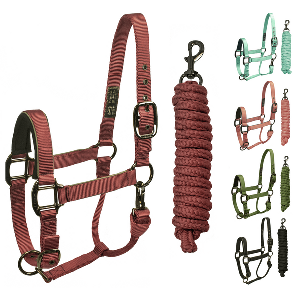 Derby Originals Desert Rose Collection Blackout Reflective Safety Stable Horse Halters with Matching Lead Ropes