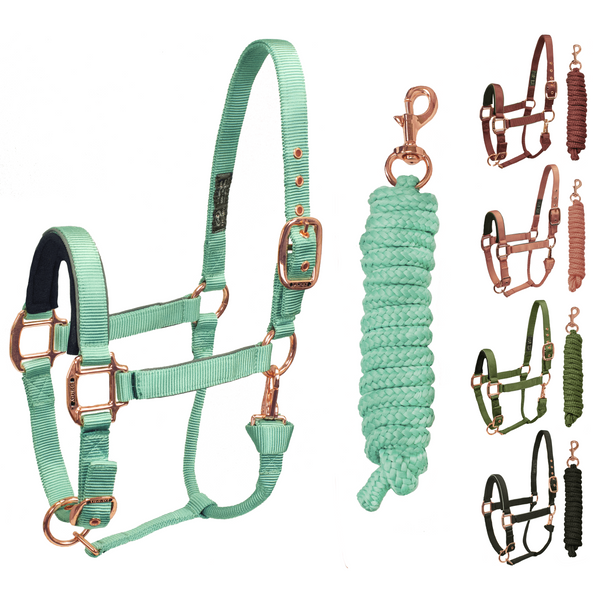 Derby Originals Desert Rose Collection Rose Gold Reflective Safety Stable Horse Halters with Matching Lead Ropes