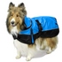 products/2Dog_Coat_Neck_Hood_Main_Electric_Blue_Black_80-8127.png