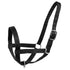 products/2Nylon_Cow_Halter_Stock_Image_Black_90-9050.jpg