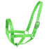 products/2Nylon_Cow_Halter_Stock_Image_Lime_Green_90-9050.jpg
