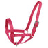 products/2Nylon_Cow_Halter_Stock_Image_Pink_90-9050.jpg