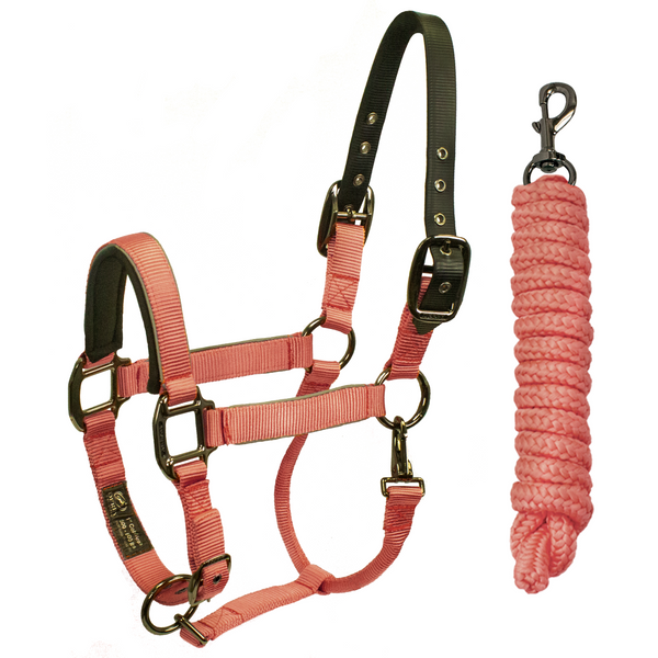 Derby Originals Desert Rose Collection Blackout Reflective Safety Flex-Webb Horse Halters with Matching Lead Ropes