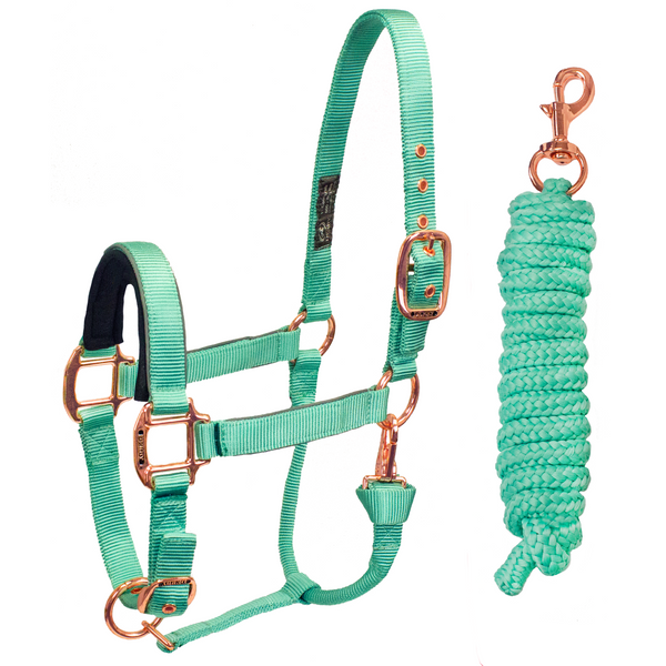 Derby Originals Desert Rose Collection Rose Gold Reflective Safety Stable Horse Halters with Matching Lead Ropes