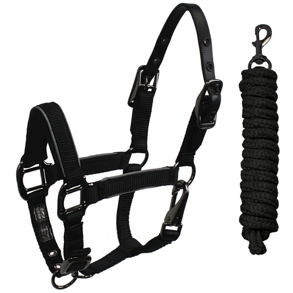 Derby Originals Desert Rose Collection Blackout Reflective Safety Flex-Webb Horse Halters with Matching Lead Ropes