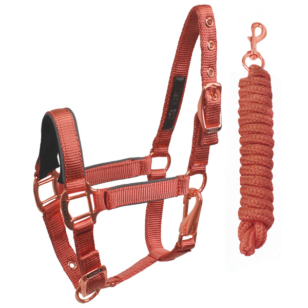 Derby Originals Desert Rose Collection Rose Gold Reflective Safety Stable Horse Halters with Matching Lead Ropes