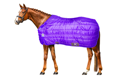 20D Reflective Winter Horse Stable Blanket 200g Medium Weight
