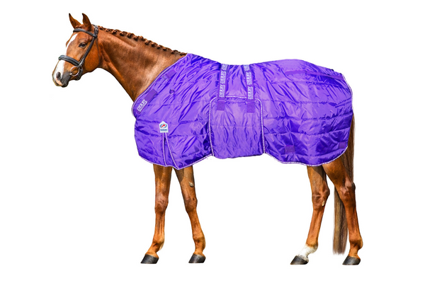 Derby Originals Nordic Tough Closed Front 420D  Reflective Winter Horse Stable Blanket 200g Medium Weight