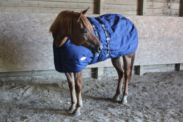 Derby Originals Nordic Tough Closed Front 1200D  Reflective Winter Horse Stable Blanket 300g Heavy Weight 1 Year Warranty